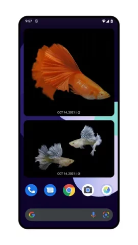1Gallery - скриншот 4