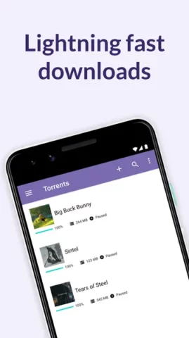 BitTorrent Pro - скриншот 2