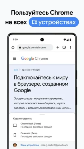 Google Chrome - скриншот 4