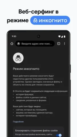 Google Chrome - скриншот 5