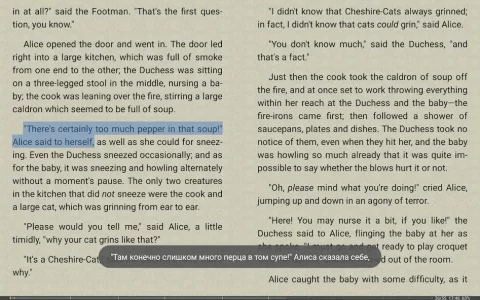 FBReader Premium - скриншот 2