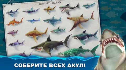 Hungry Shark World - скриншот 2