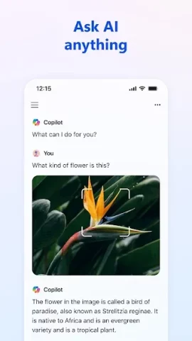 Microsoft Copilot - скриншот 2