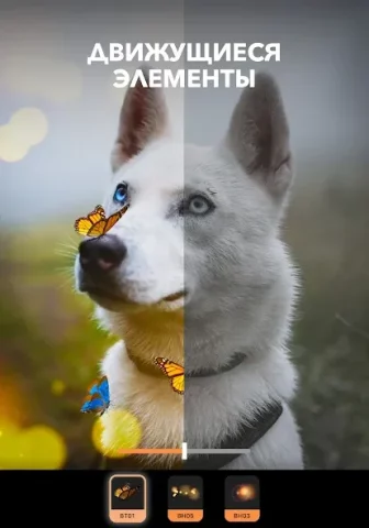 Motionleap - скриншот 5