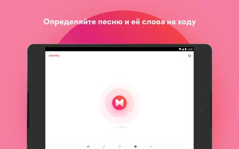 Musixmatch - скриншот 3