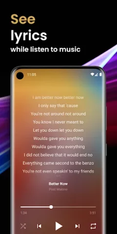 Offline Music Player - скриншот 2