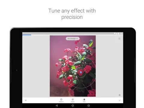 Snapseed - скриншот 5