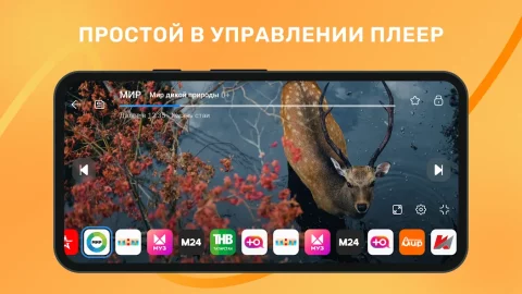 Лайт HD TV - скриншот 2