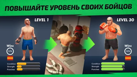 MMA Manager 2 - скриншот 1