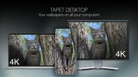 Tapet Wallpapers Generator - скриншот 3