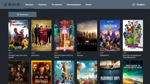 Zona - скриншот 5