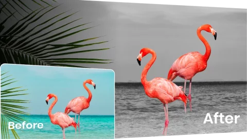 Color Pop Effects - скриншот 4
