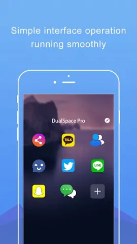 Dual Space Pro - скриншот 1