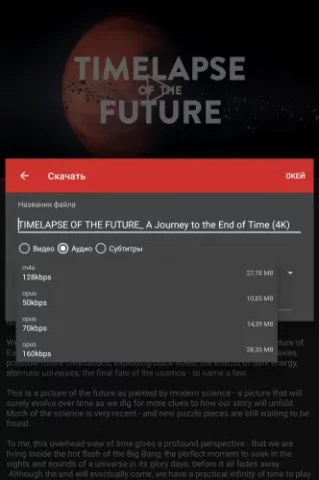 NewPipe - скриншот 3