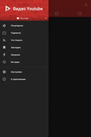 NewPipe - скриншот 4