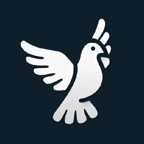 ByeByeDPI 1.6.5