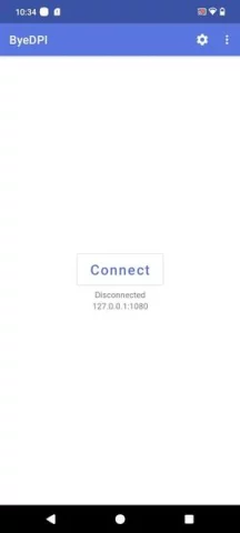 ByeByeDPI - скриншот 6