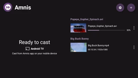 Amnis — Torrent Player - скриншот 4