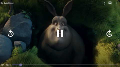 Amnis — Torrent Player - скриншот 5