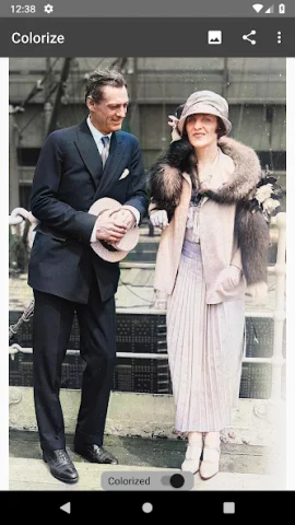 Colorize Images - скриншот 2