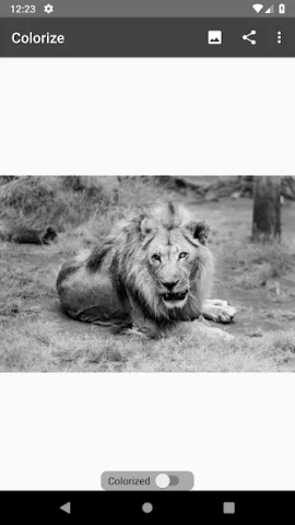 Colorize Images - скриншот 3