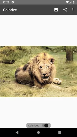 Colorize Images - скриншот 4