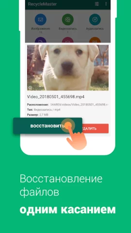 Recycle Master - скриншот 2