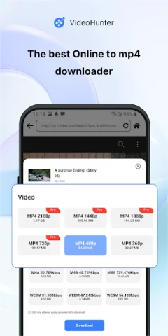 VideoHunter - скриншот 2