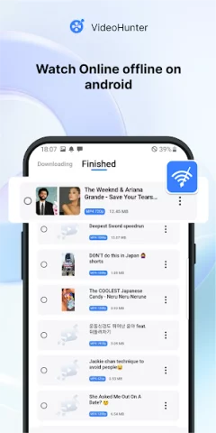 VideoHunter - скриншот 6