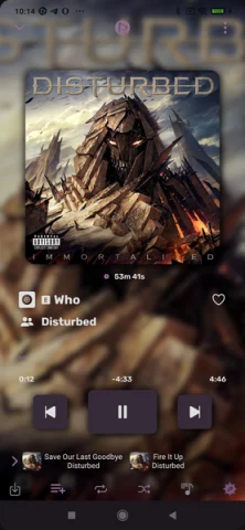 RiMusic - скриншот 3