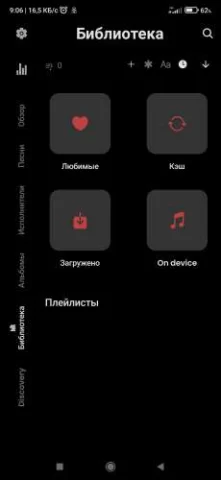 RiMusic - скриншот 7