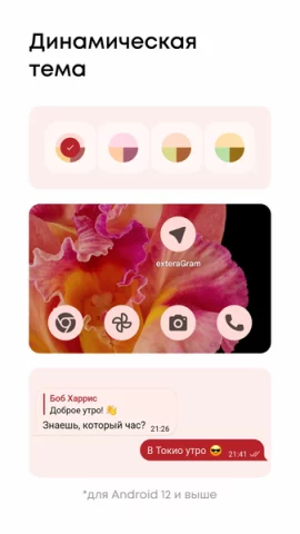 ExteraGram - скриншот 6