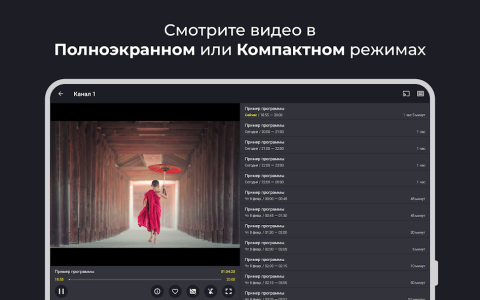 Televizo - скриншот 4