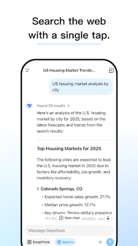 DeepSeek - скриншот 5