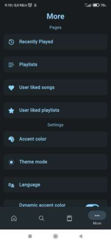 Musify - скриншот 4