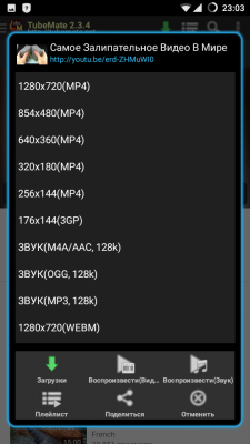 TubeMate - скриншот 2