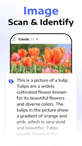 AI Seek Chatbot - скриншот 4