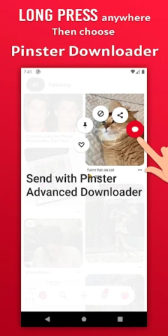 Pinster Advanced Downloader - скриншот 1