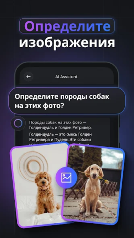 Gemmy AI - скриншот 4