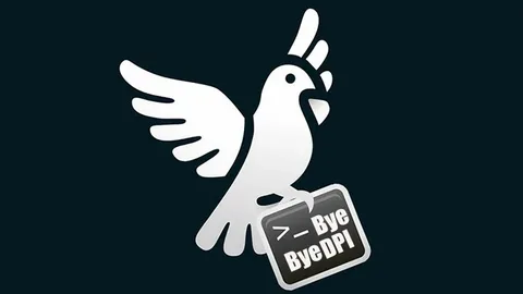 Как использовать ByeByeDPI