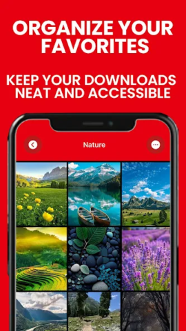 PinGet - скриншот 4