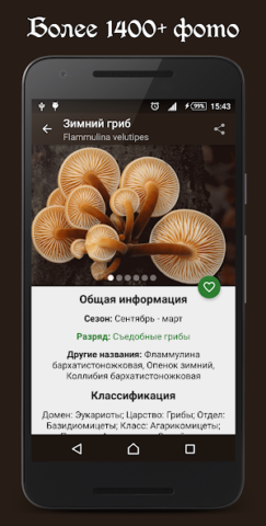 Справочник грибника - скриншот 1