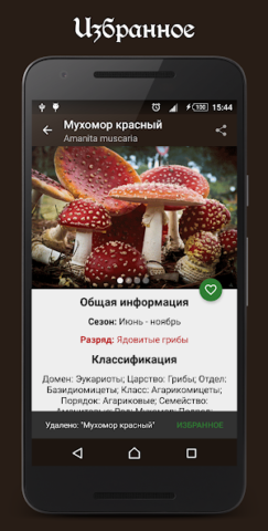 Справочник грибника - скриншот 4