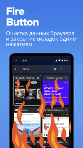 DuckDuckGo - скриншот 5