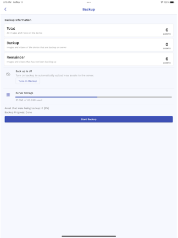 Immich - скриншот 3