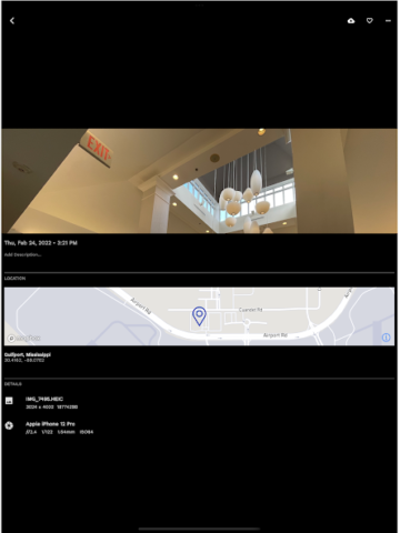 Immich - скриншот 4