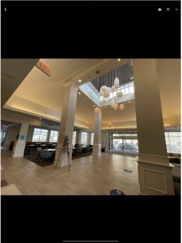 Immich - скриншот 5