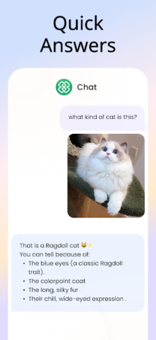 AI Chatly: GPT 5 AI Chatbot - скриншот 4