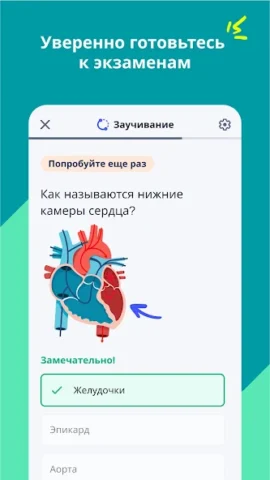 Quizlet - скриншот 3