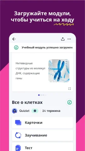 Quizlet - скриншот 4